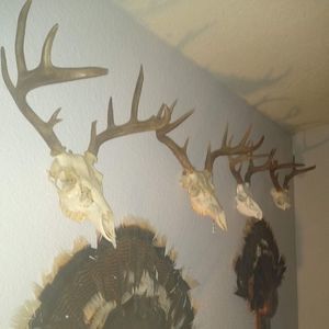 Meet your Posher, Todd